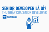 Senior Developer là gì? Thu nhập của Senior Developer