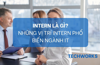 Intern là gì? Những vị trí Intern phổ biến ngành IT