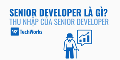 Senior Developer là gì? Thu nhập của Senior Developer