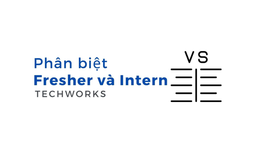 Fresher và Intern có giống nhau không? Cách phân biệt