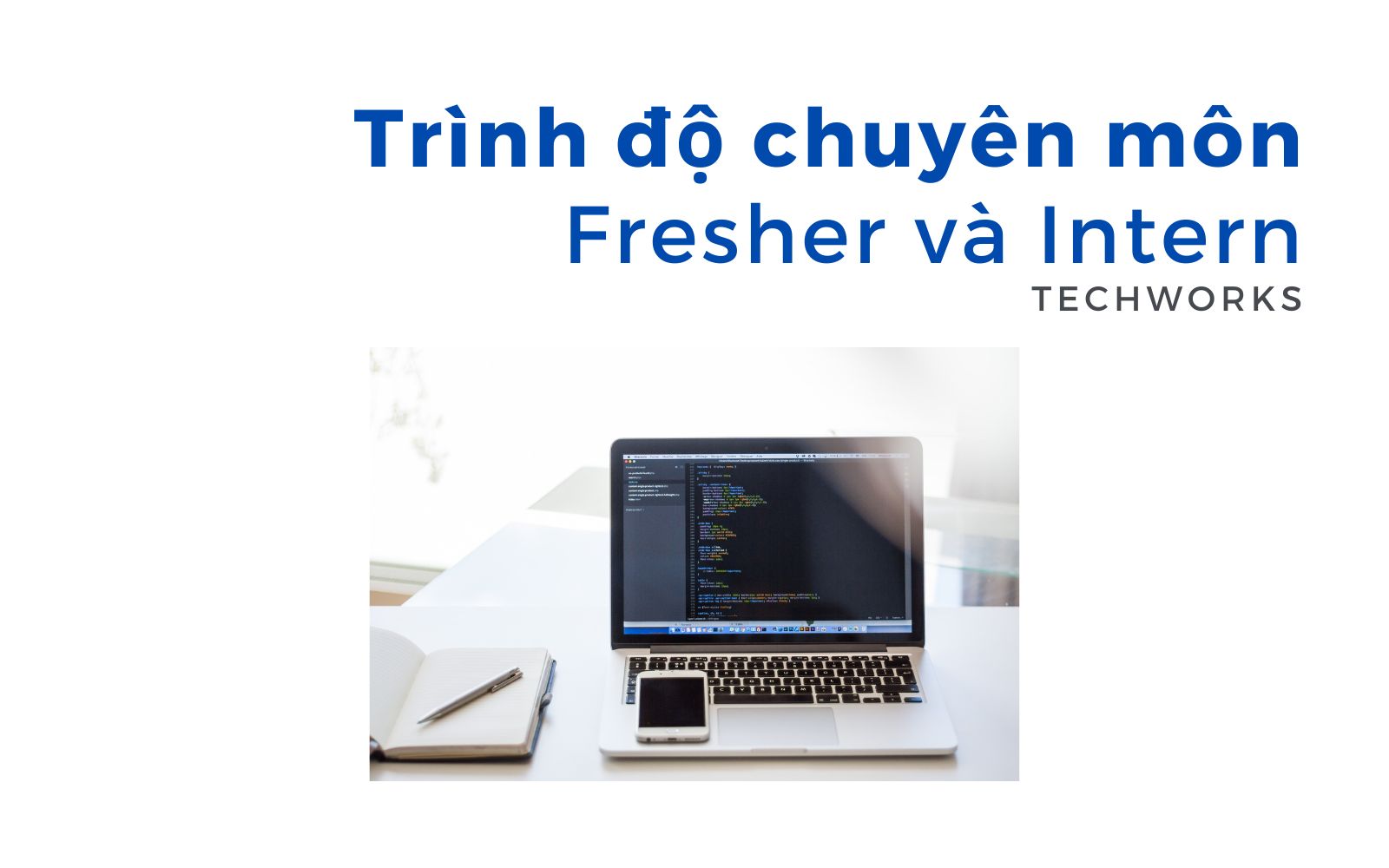 So sánh trình độ chuyên môn của Fresher và Intern