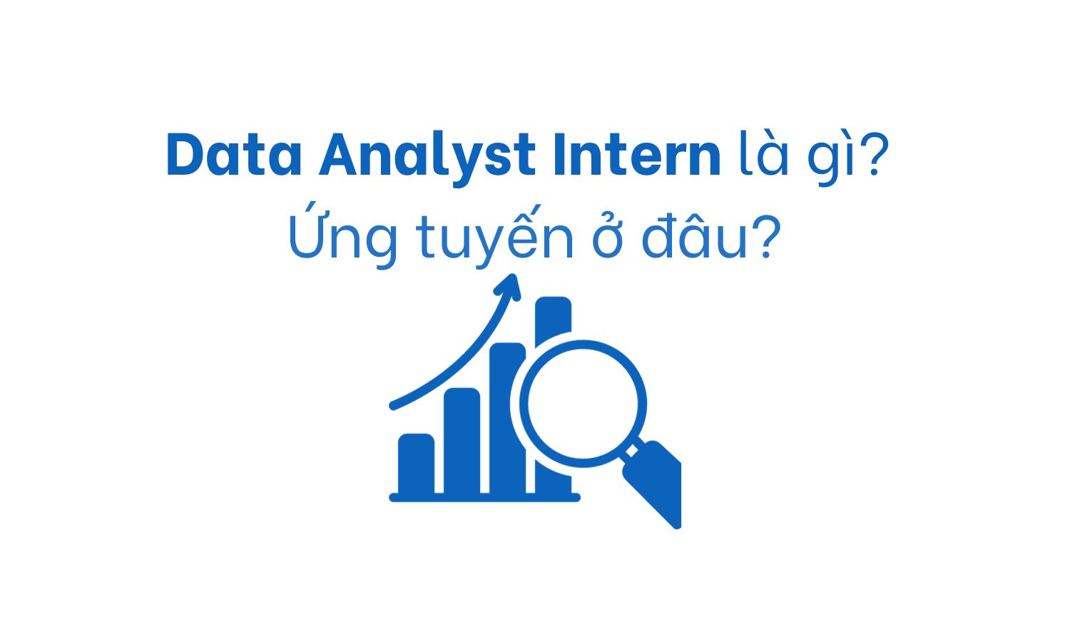 Data Analyst Intern là gì? Ứng tuyến ở đâu?